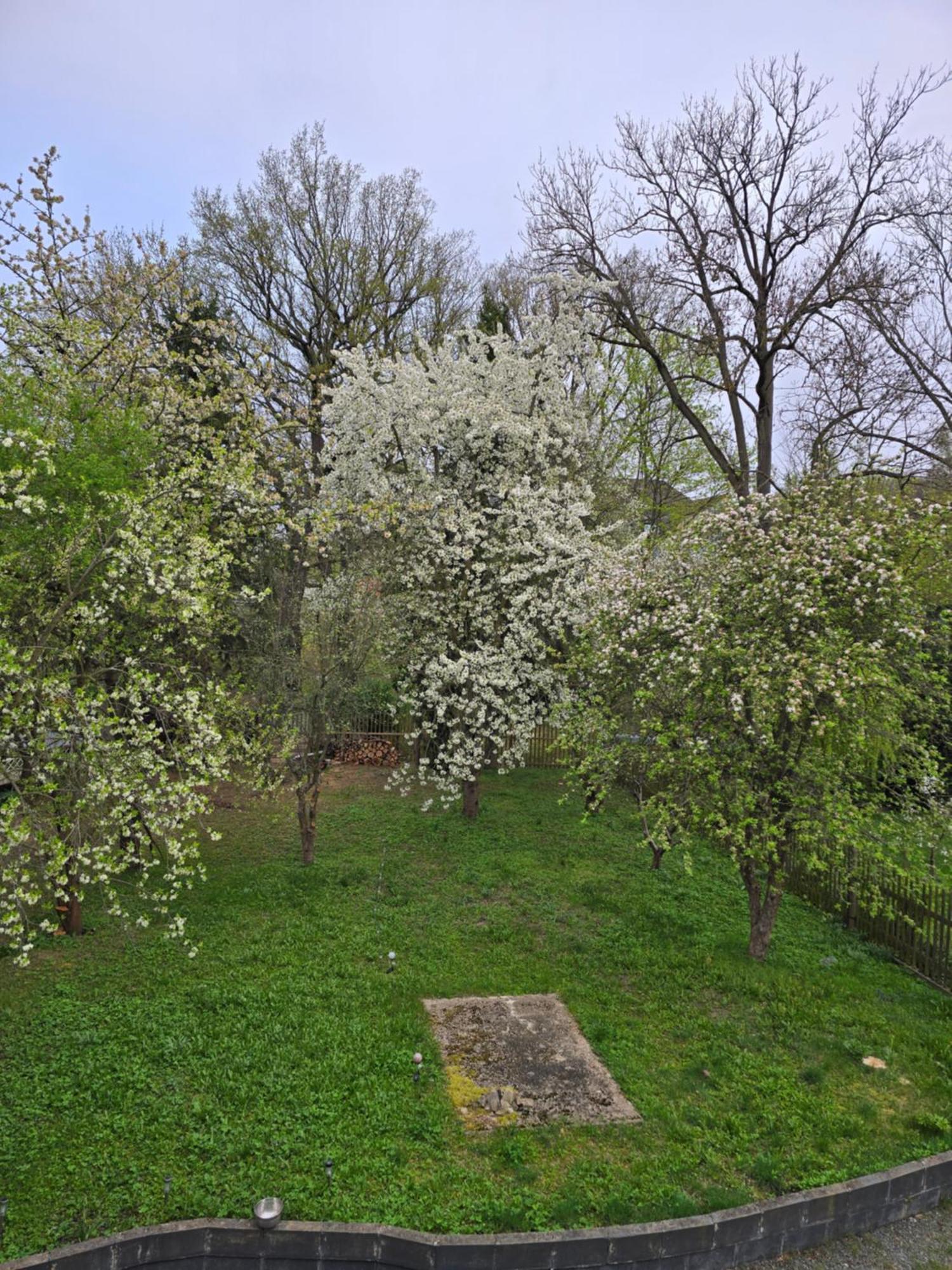 Villa Kuechwald Chemnitz Zewnętrze zdjęcie